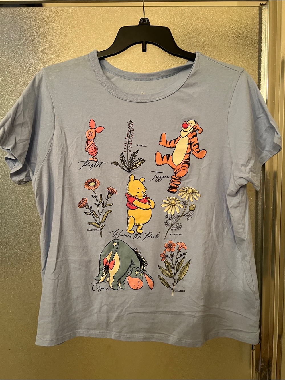 Disney Light Blue Winnie the Pooh Character Tee with Floral Accents